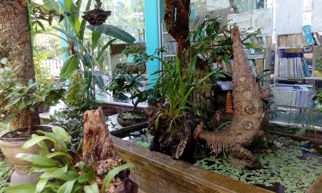 Tam Tinh Vien Homestay Hue Exteriér fotografie